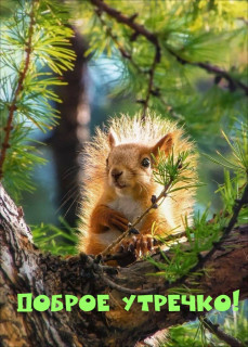 IMG-a8de32ca29e79c9fe67d69413549e1db-V