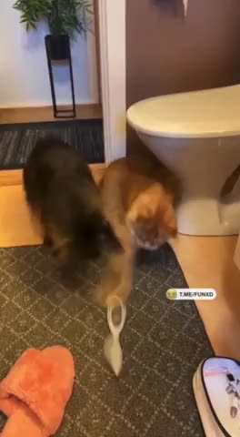 Умеет_пугать