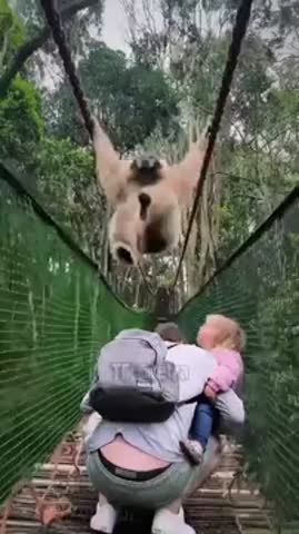 Обезьянка_на_марше