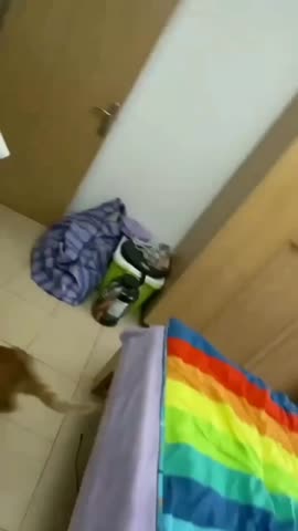 VID_20230628_144221_281