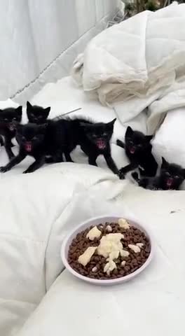 VID_20230626_213837_785