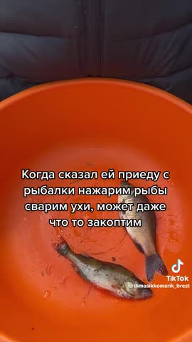 72abf98b887cf8fa87d3962764b41408