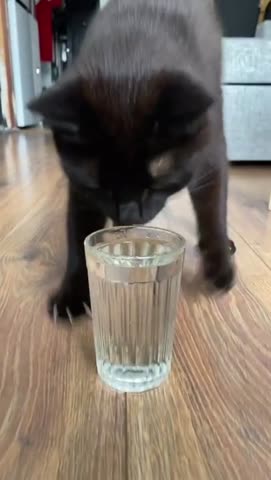 VID_20230630_155306_857