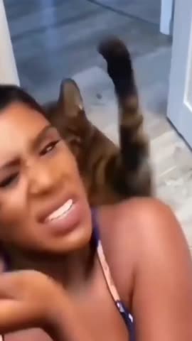 VID_20230630_153450_531