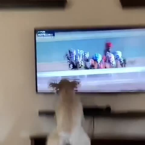 VID_20230630_153407_095