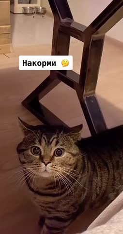 VID_20230630_153516_116