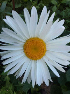 FB_IMG_16881455951077834