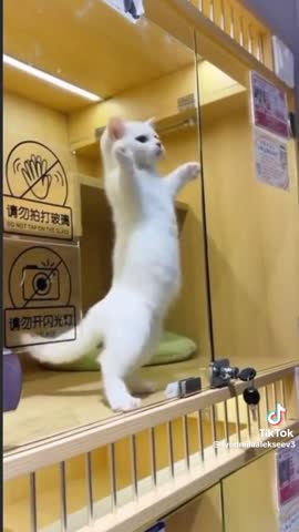 Будет все у нас хорошо