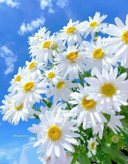 IMG-ef269adfddd1bdedb5fbc6164c5f505a-V