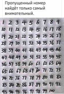 FB_IMG_1688663338699