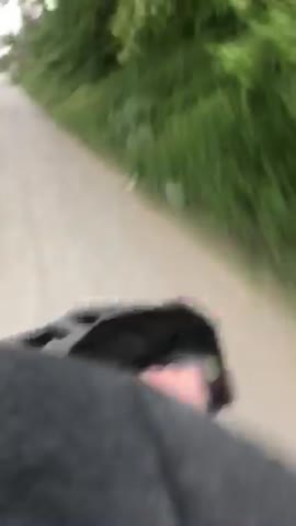 video-14c4af2e2b4b3ce8ec624370a03b6ecd-V