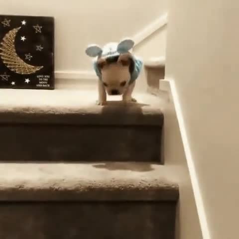 2_5213051632517906716