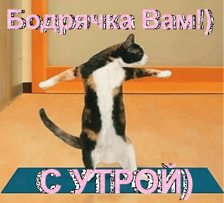 Доброе утро 2