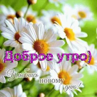 Доброе утро 3