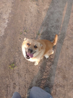 IMG-82eb064620429180494927880997761f-V