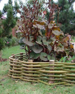 IMG-fdbd80f38d80517cc03915aba390468d-V