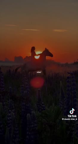 55b68cd1aafeab8a2604d026dbfa490b