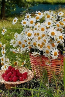 FB_IMG_16899736706758731