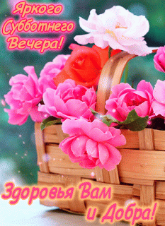 GIF-e1586cf64eb935ca689c44996967cf2c