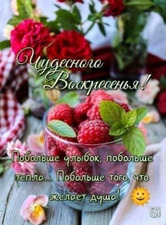 FB_IMG_16901042731008222