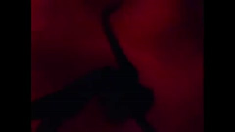 Suzanne_Vega__DNA_-_Tom_s_Diner480P