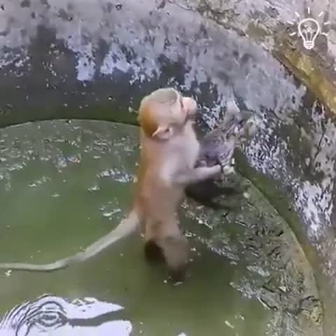 спасительница