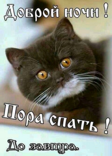 FB_IMG_16904907540468794