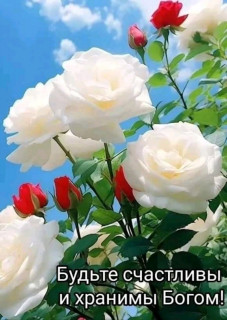 IMG-fe60ecf72bcea66e1a8864f70a346c49-V