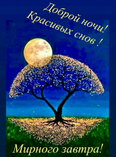 FB_IMG_16906589511307362