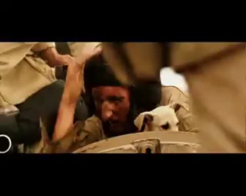 Сектор_Газа-_Туман