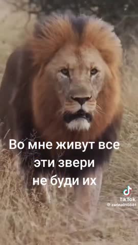 4e95364214abd5a3a3f8c22f1f0d2fa6