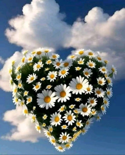 FB_IMG_16910685082042708