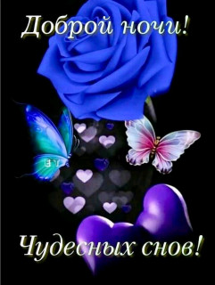 FB_IMG_16910938182524733