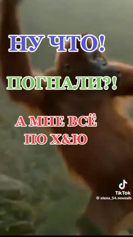 ca10ab28d412a39e55aa5d11ea8640b5