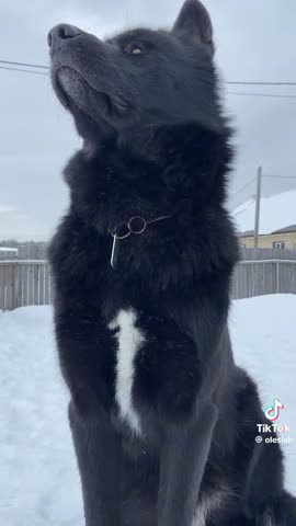 164625477456671d41d47fbb29fd7cbe