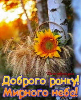 IMG-a6a9d1a2085bfd01a980650ebd18c3d3-V