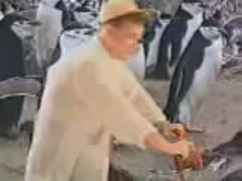 Дюна_-_Караганда360P