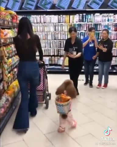 6feadbe7fd3df0a7e33963a1e7b2600b