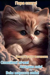 FB_IMG_16916103231472237