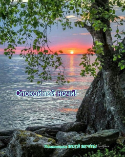 IMG-ee9146f0fd43537b5254a46ea300cf19-V