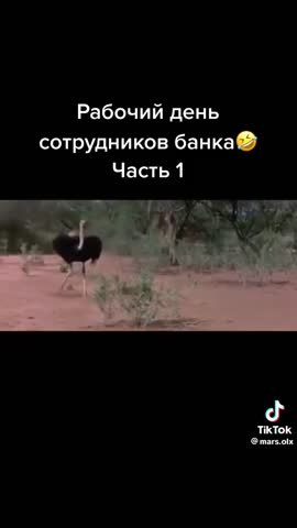dab1c6b63e1d6f48897f40a3aea47381
