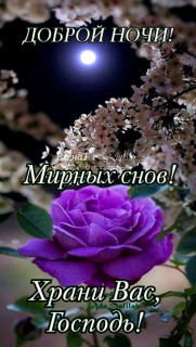 IMG-e36953b40da99b71a3f9fec33082a734-V