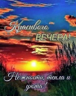 FB_IMG_16916936431697631