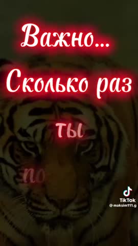 1a84b028f30d1fba5638c52f710a75c0