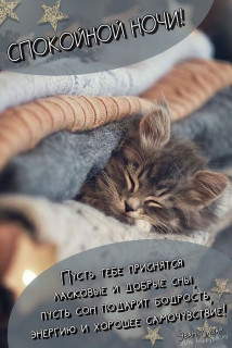 IMG-0fe276191fba82f802d9927f42d95b39-V