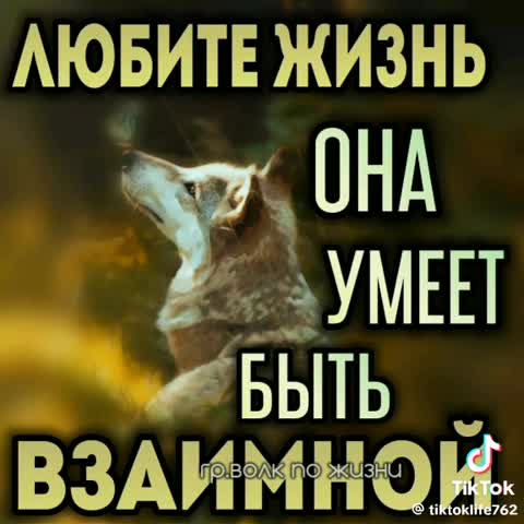 99fb3bebf3d2aeac92d84bc3d824584f