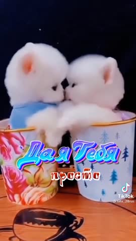 0a8afcf829fdb6388c5d1f1fecc1dec8