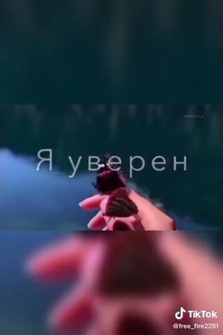 b5e92878b036552c06f1a0d4b34525c4