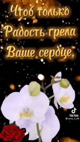моим_друзьям