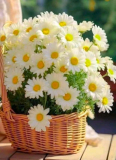 FB_IMG_16920478587122588